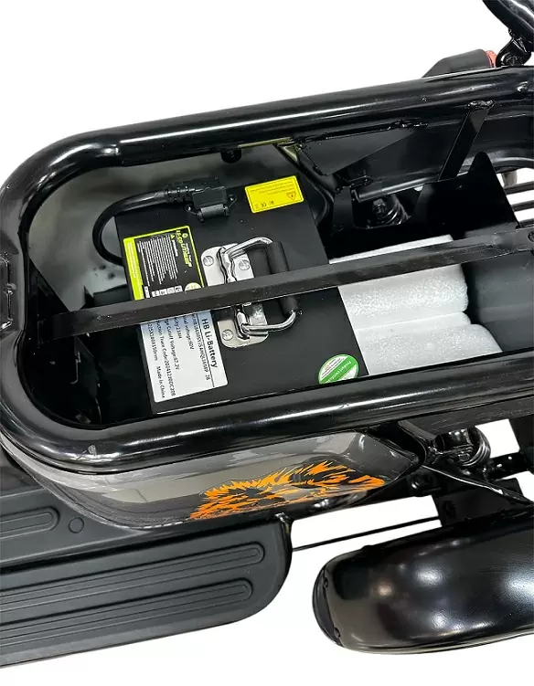 Электротрицикл LS CO A3 Электротрицикл LS CO A3