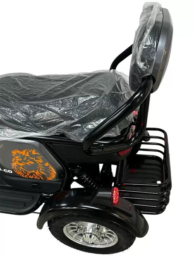 Электротрицикл LS CO A3 Электротрицикл LS CO A3