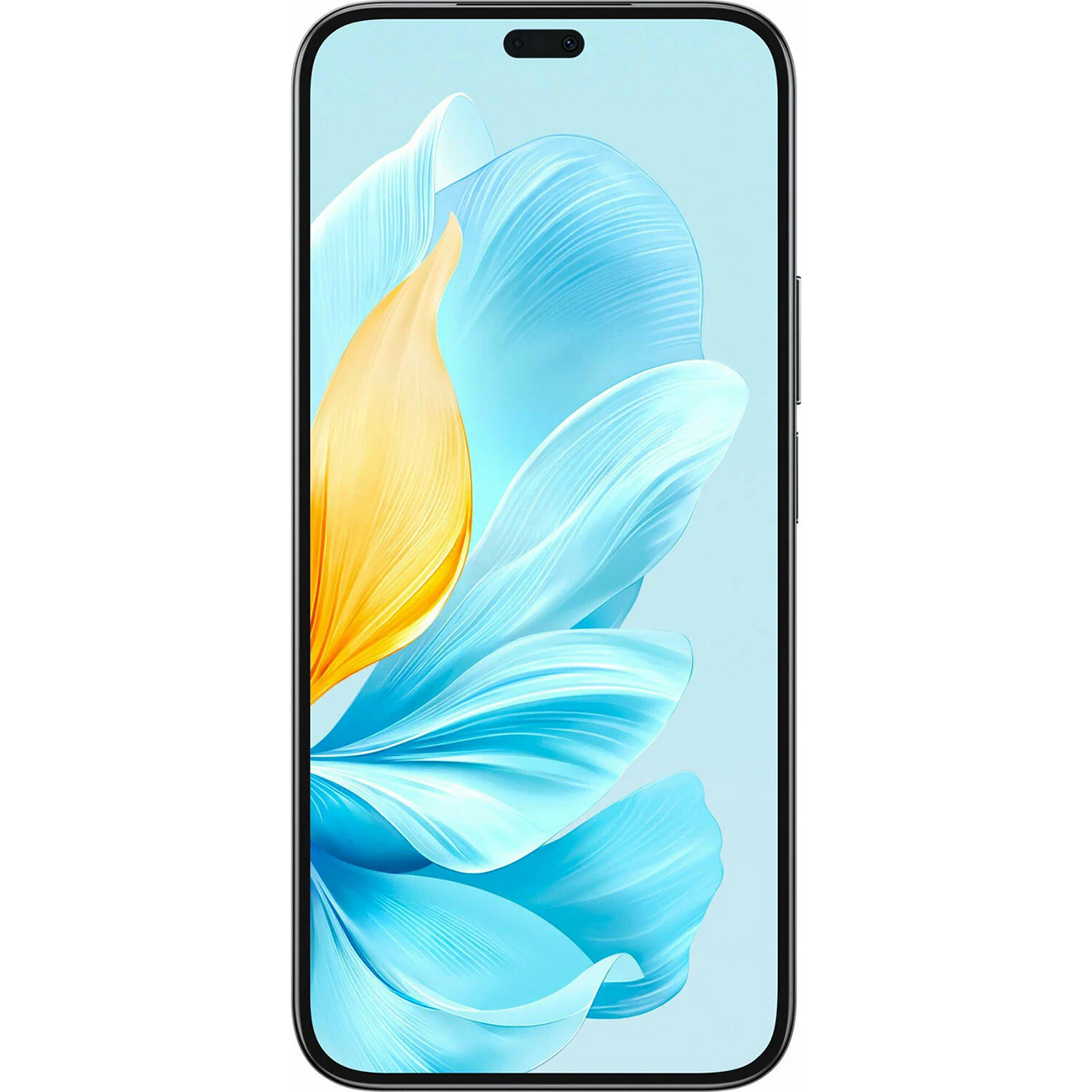 Смартфон Honor 200 LITE 8/256GB black – купить в во Владимире | Низкие цены  в Айбрат