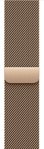 Смарт-часы Apple Watch Series 11, 42 мм, ремешок Titanium Milanese Loop, Золотой / Gold